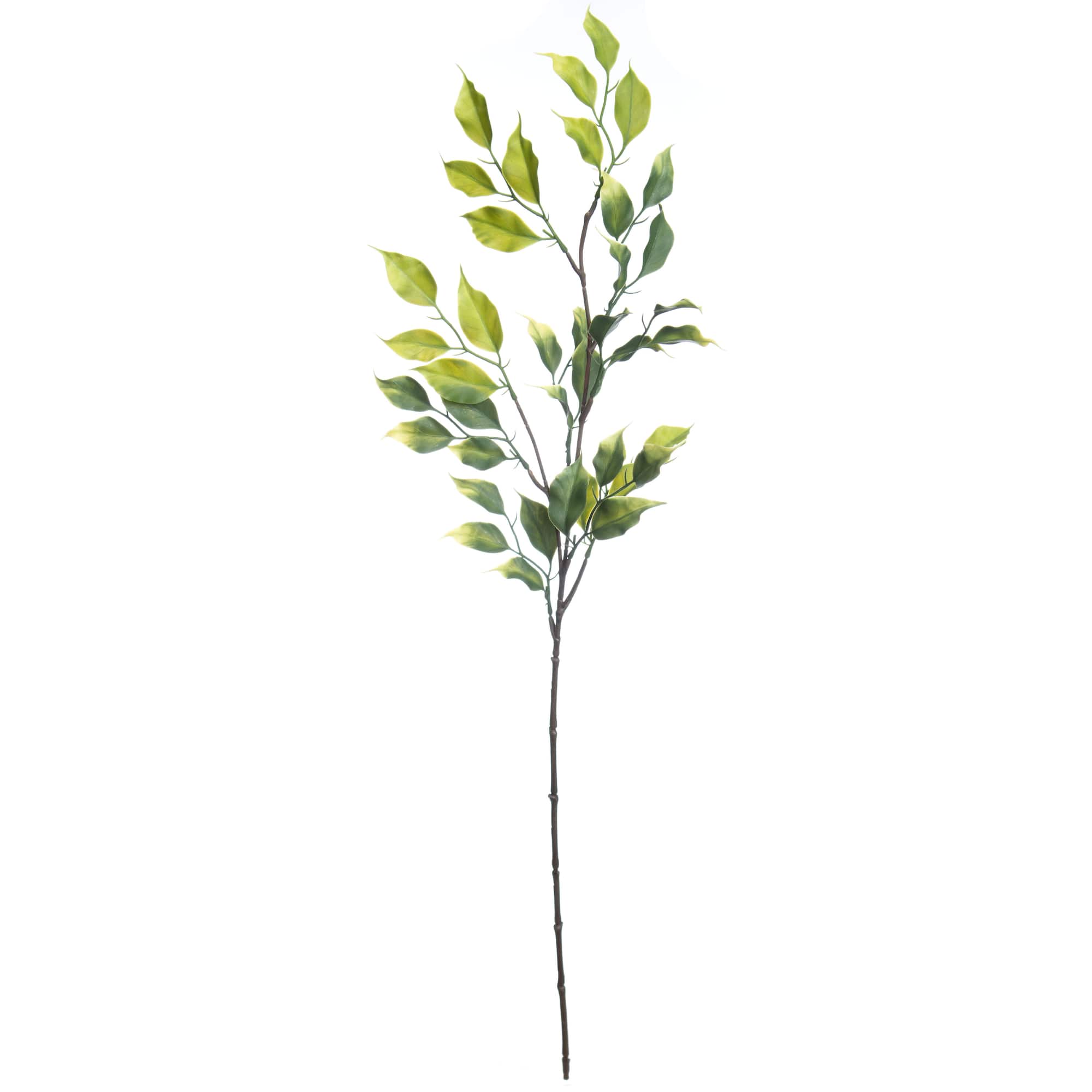 30" Green Ficus Stem by Ashland®
